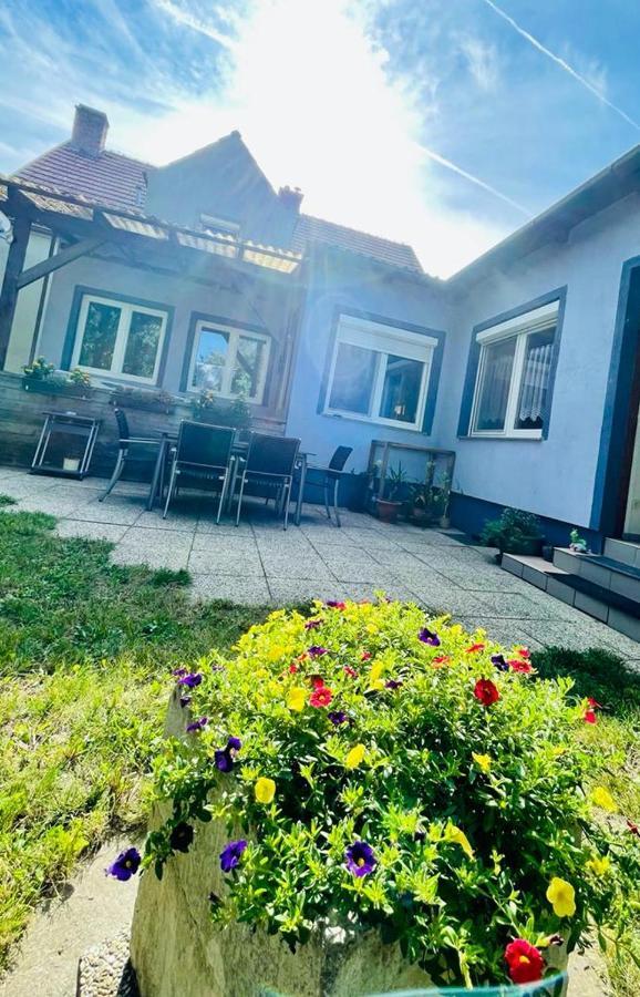 Ferienwohnung Rosenauer Purbach am Neusiedlersee Eksteriør billede