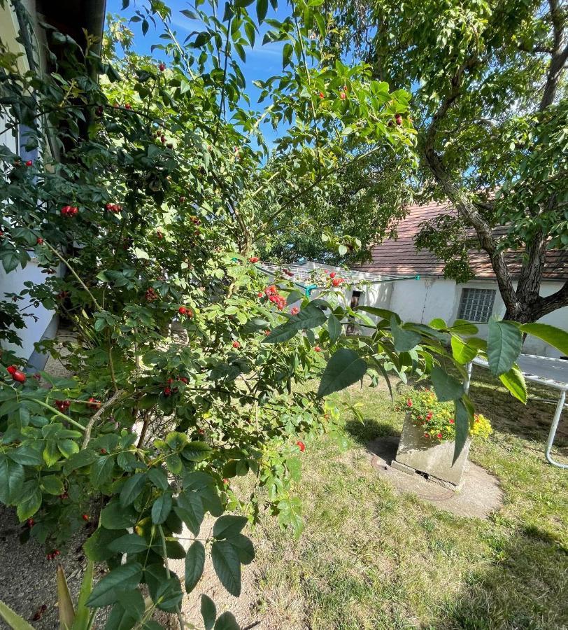 Ferienwohnung Rosenauer Purbach am Neusiedlersee Eksteriør billede